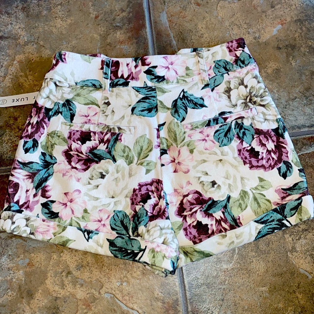 Saltwater Luxe Vintage Short - Picture 7 of 7